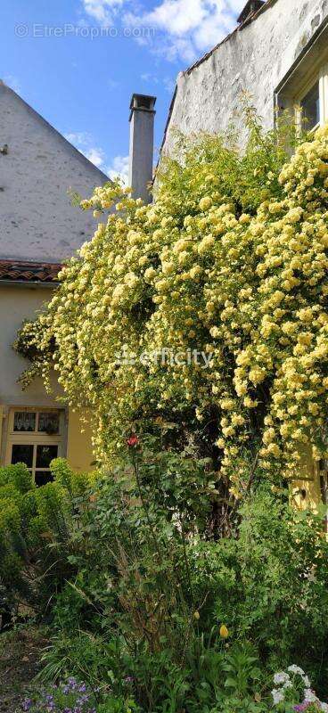 Maison 307 m² à Charroux  - photo 14