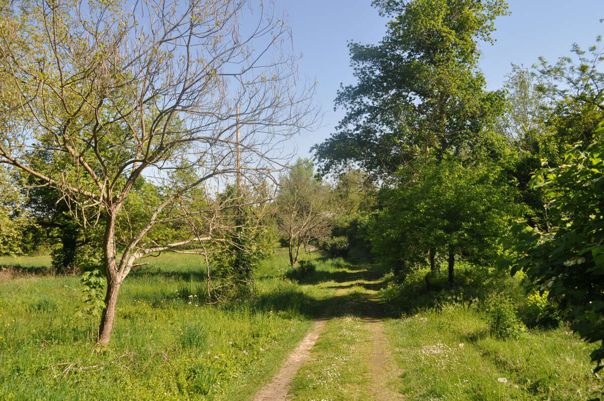 Maison à BRESSOLLES