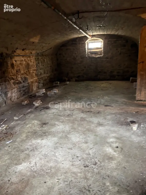 A  saint forgeux lespinasse (42) maison de caractere de 200 m2 avec dependances et terrain clos de 8400m2 - photo 8