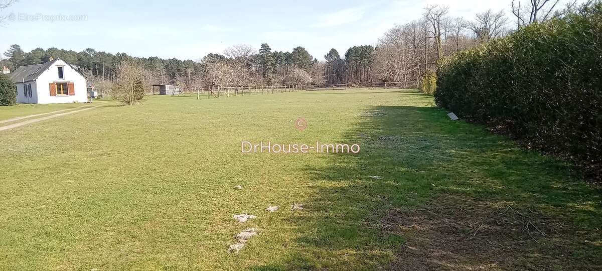 Maison 139 m² à Langeais  - photo 66