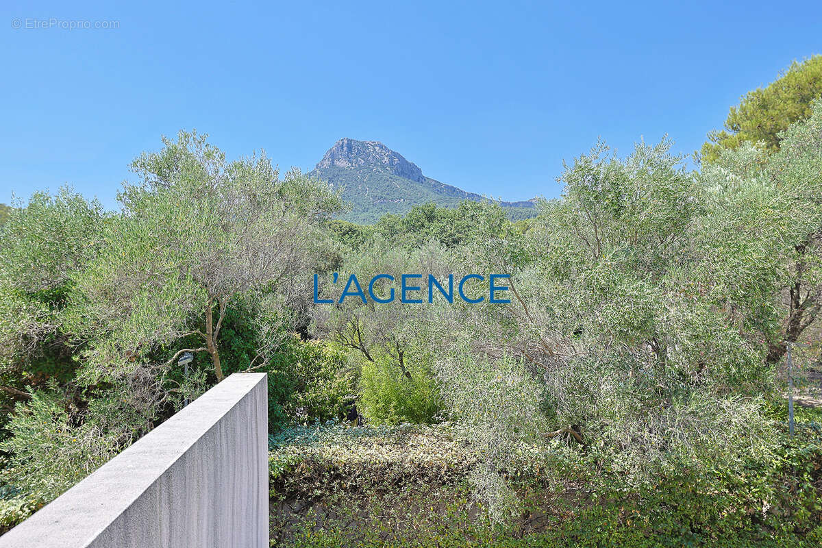 Villa d'architecte de 163 m2 exposée au Sud, avec piscine et terrain arboré, sans vis à vis - photo 16