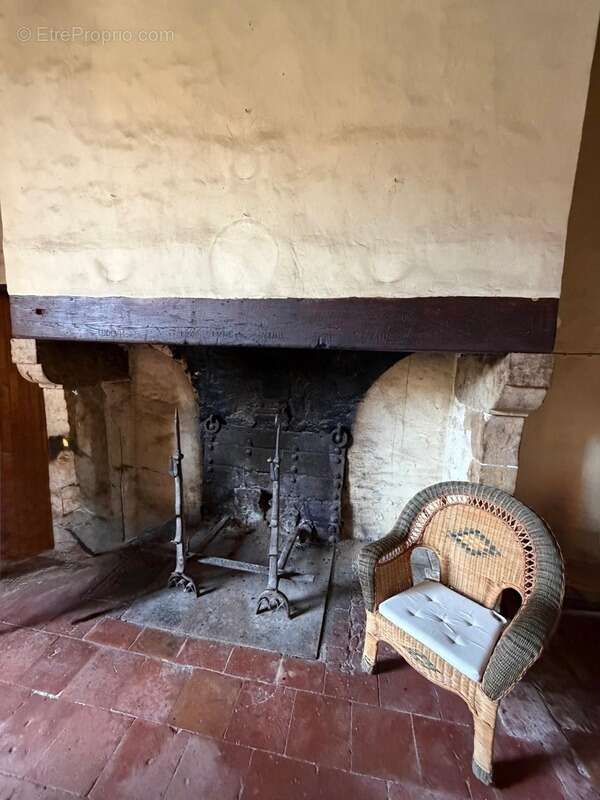 Gers(32), TRES BEAU CHATEAU DE FAMILLE 45HA avec dependances, un peu caché, en position dominante, une belle histoire - photo 18