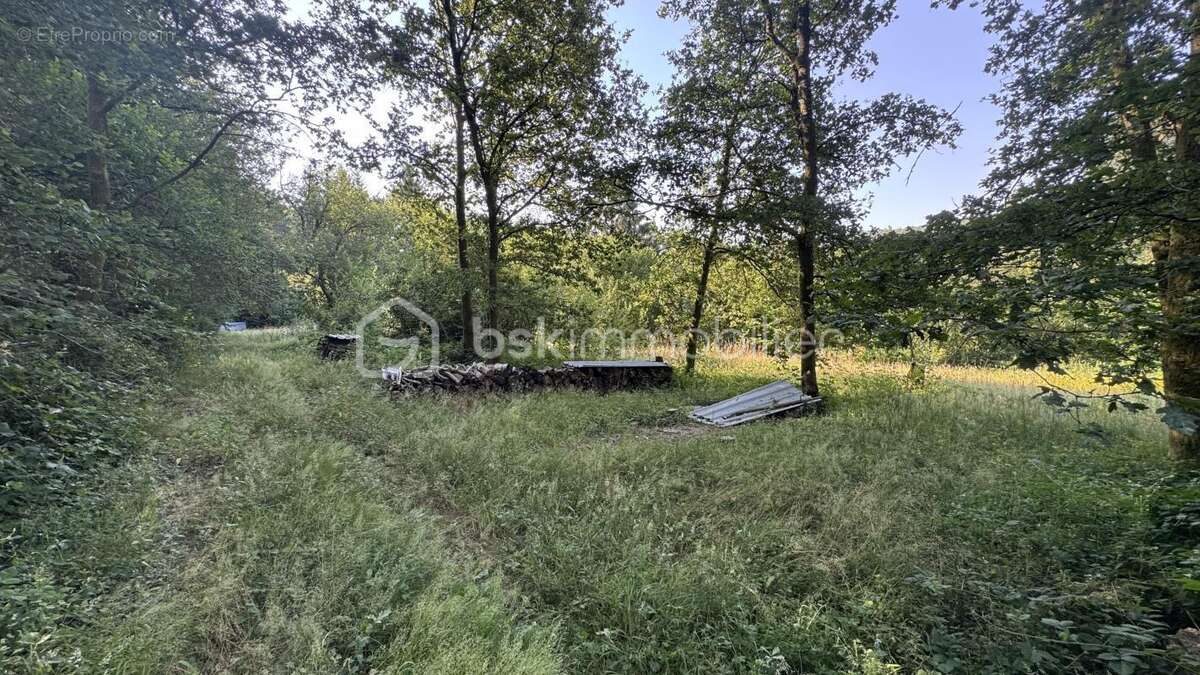 Terrain de loisirs, enclos pour chevaux - photo 3
