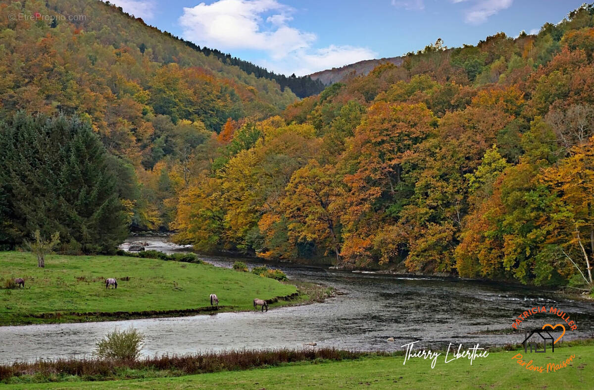 Terrain à TOURNAVAUX