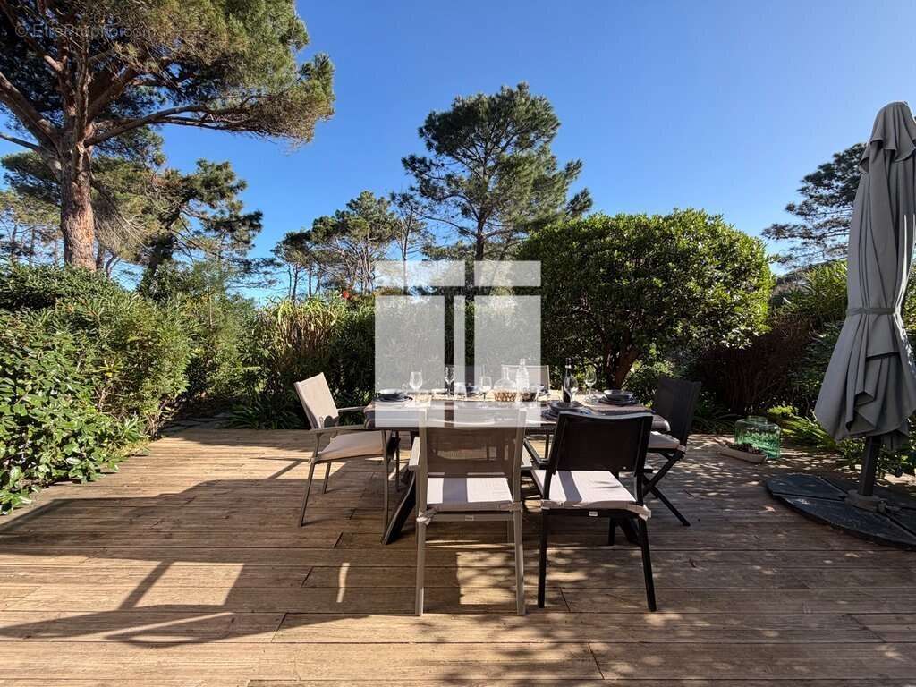 Appartement à CALVI