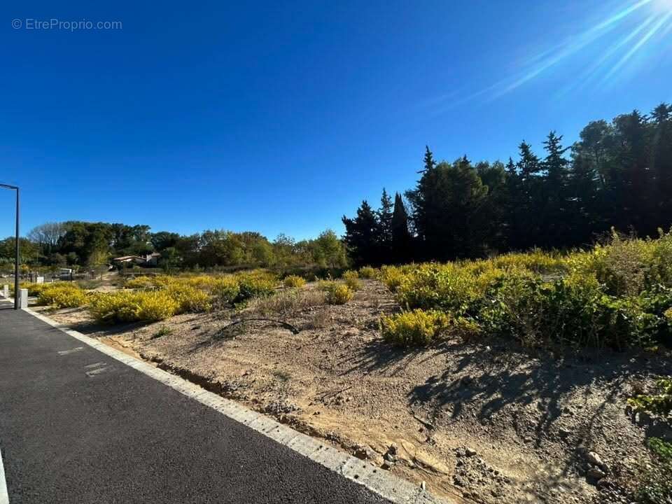 Terrain à PEYRIAC-MINERVOIS