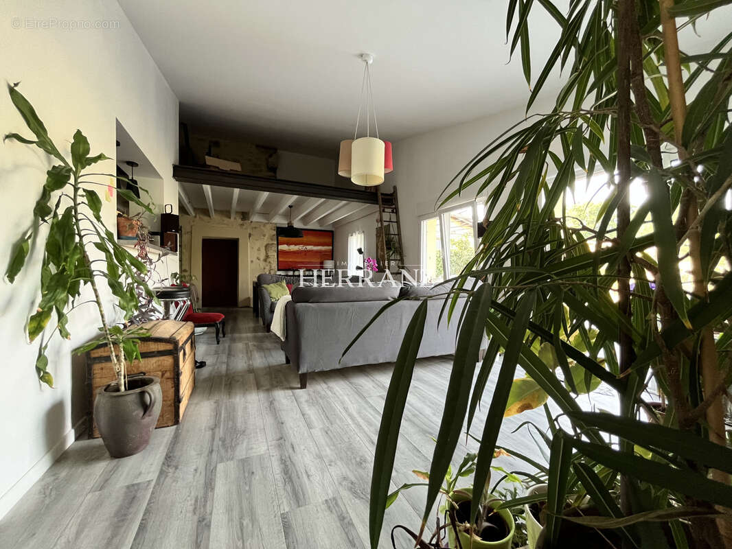 Maison en pierre 5 chambres de plain-pied avec chai, dépendance et jardin à Montagne, proche Saint-Émilion - photo 5