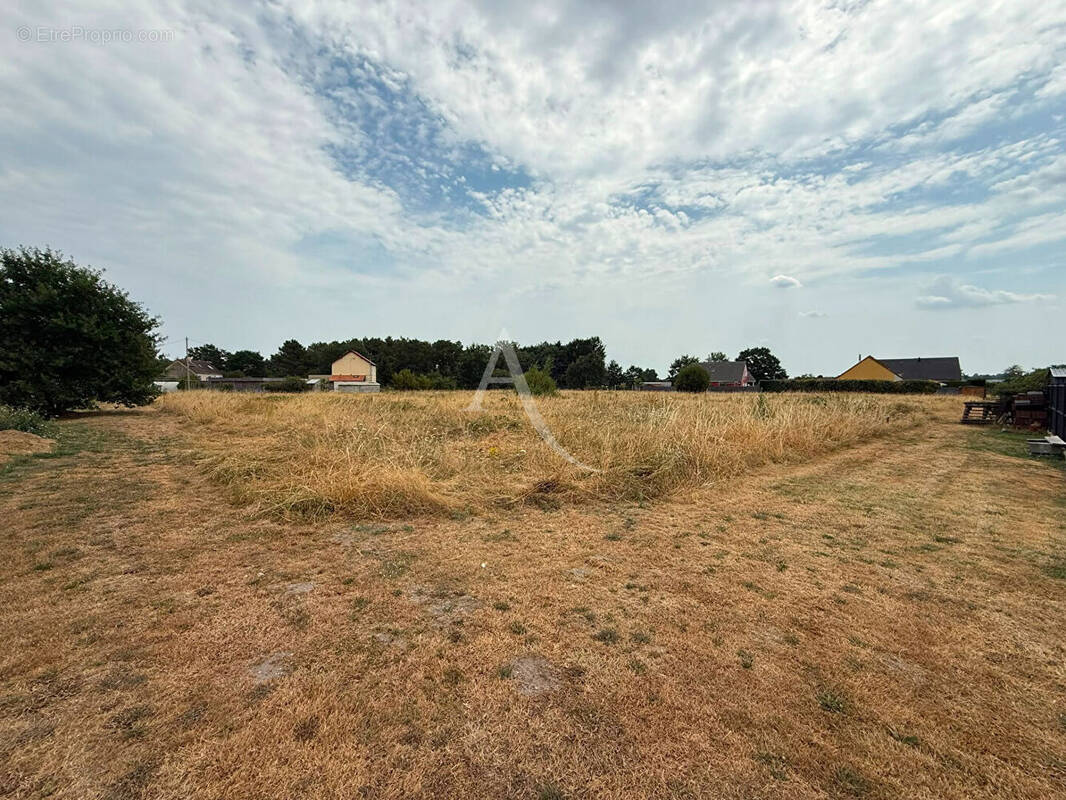 Terrain à LA SUZE-SUR-SARTHE