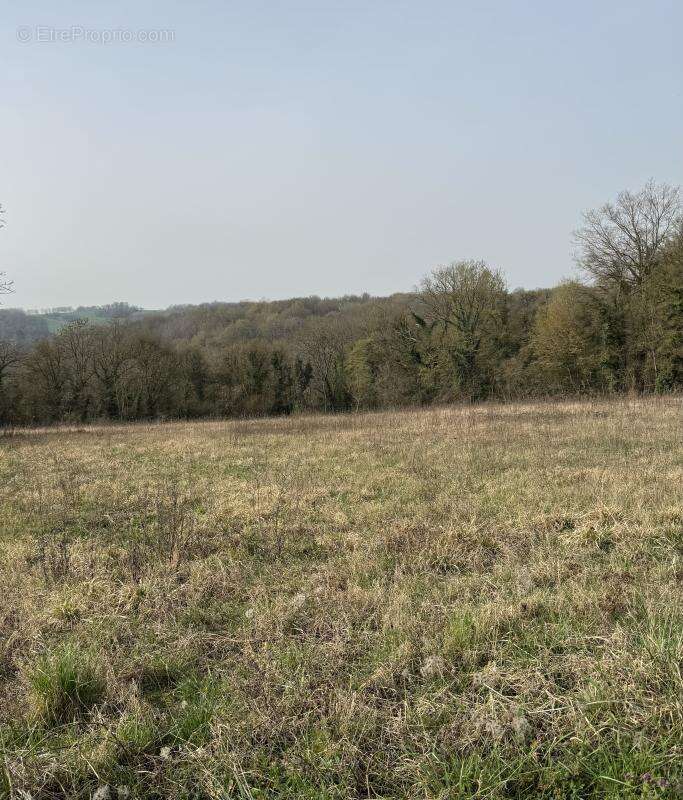 Terrain à MONTREUIL-AUX-LIONS