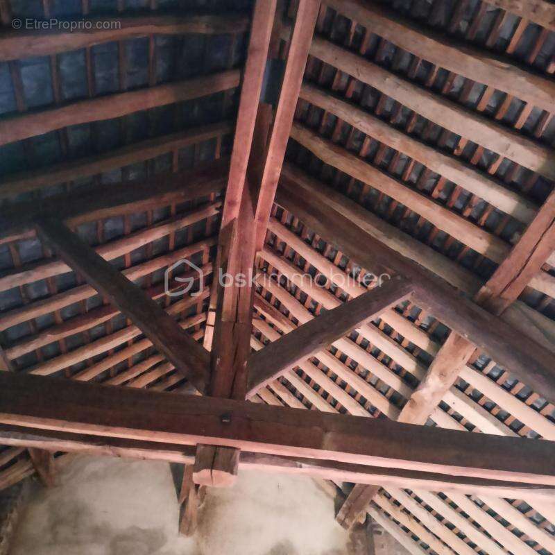 Maison de ville de 260 M2 avec jardin à Villeneuve-l'Archevêque - photo 13