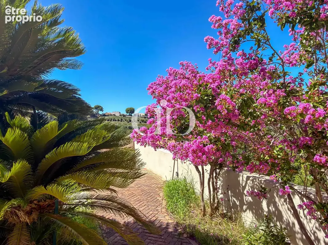 Cassis   élégante villa rénovée à pied du village et du port - photo 16