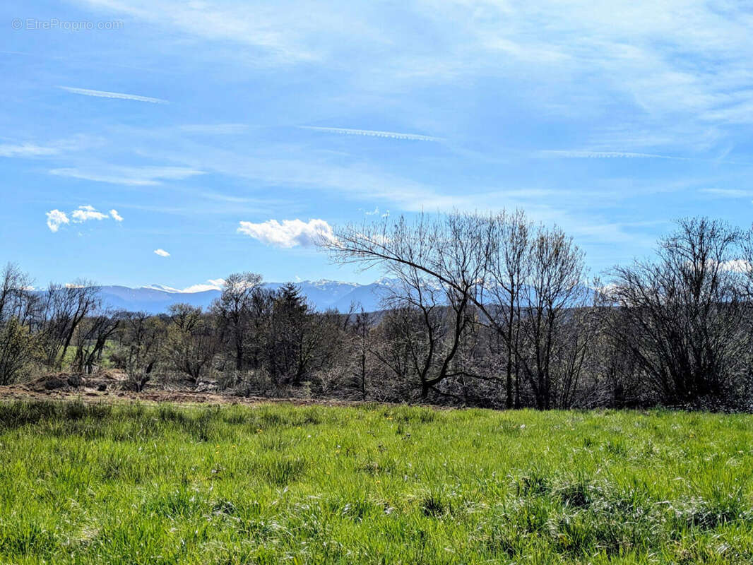 Terrain à SOUMOULOU