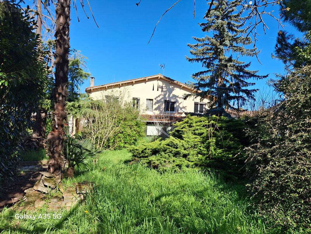 Maison à L'ISLE-JOURDAIN