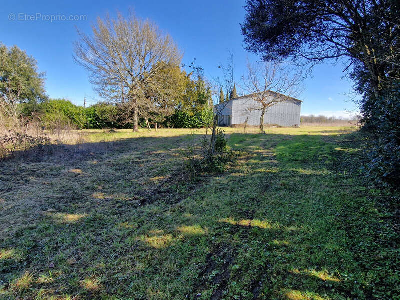 Maison à SAINT-HILAIRE-DE-VILLEFRANCHE