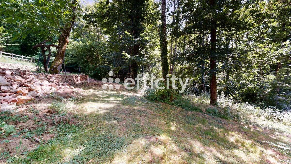 Maison 378 m² à Montet-Et-Bouxal  - photo 20