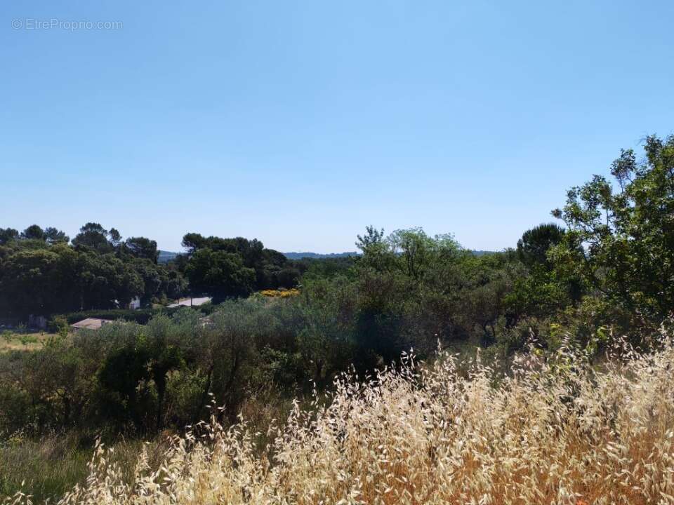 Terrain 628 m² à Lorgues  - photo 12