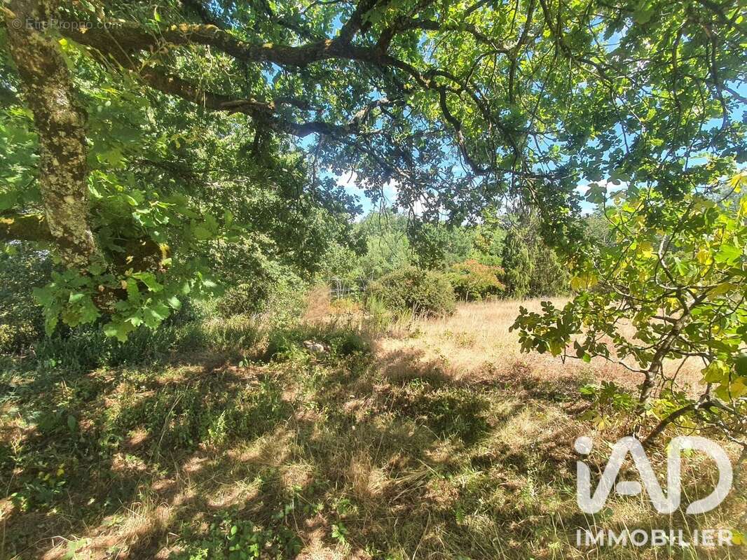 Terrain 1103 m² à Saint-Vincent-Sur-Graon  - photo 6