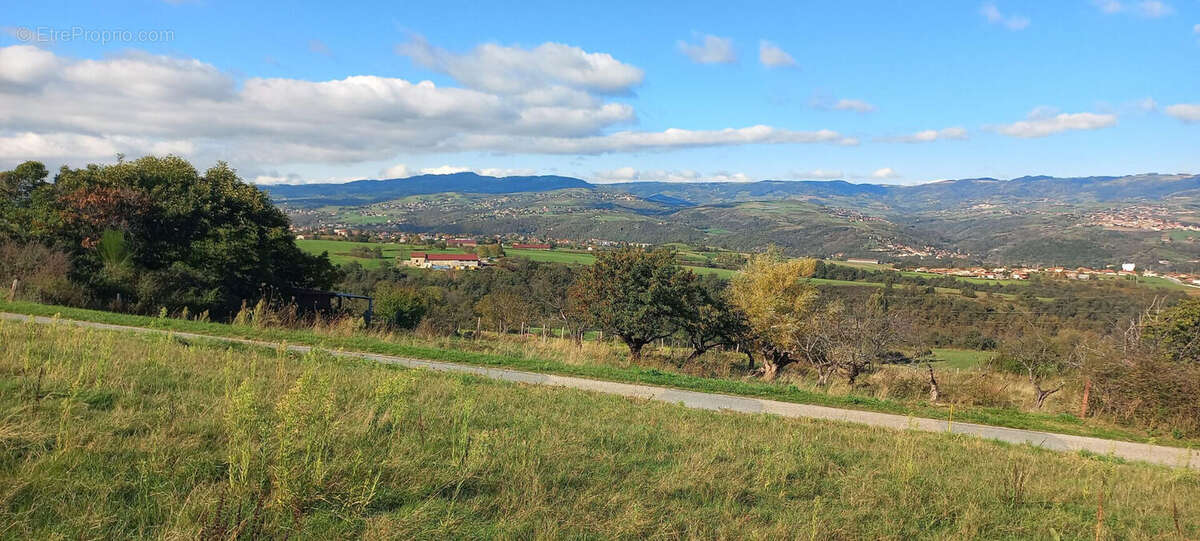 Terrain à CHATEAUNEUF