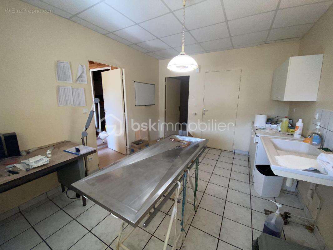 Maison 140 m² à Allegre  - photo 8