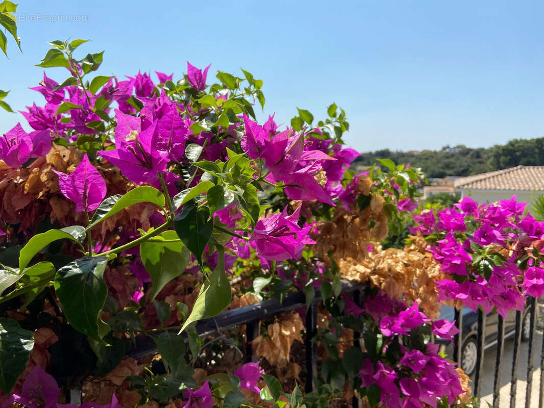 Maison à SAINT-GILLES