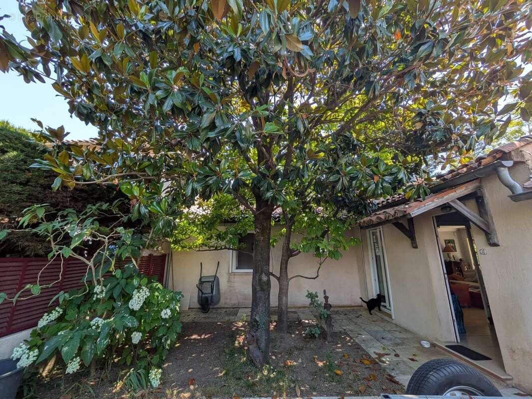 Le cannet- maison 6 pieces jardin - photo 17