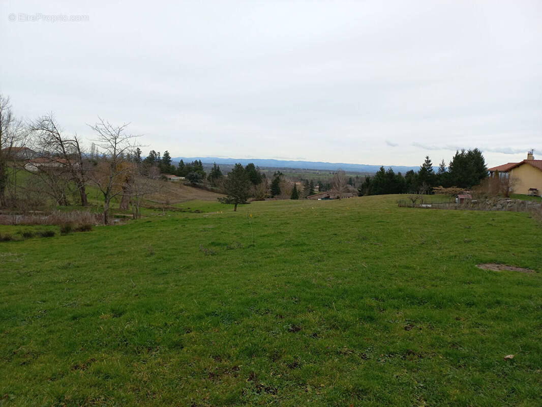 Terrain à SAINT-HAON-LE-VIEUX