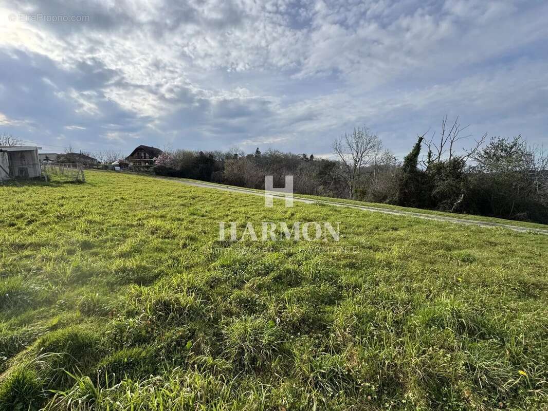 Harmon à vendre : Terrain divisible et Constructible à Serres-Sainte-Marie – Vue Imprenable - photo 2