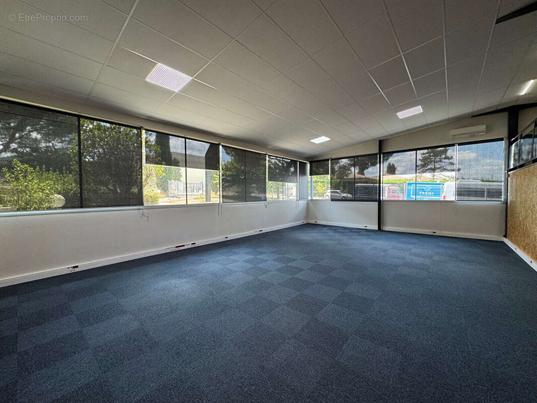 Commerce à MONDOUZIL