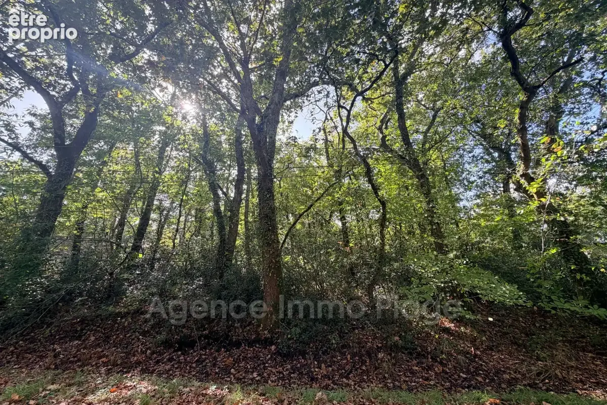 Terrain 2 269 m² à vendre à Grayan-Et-L'hopital (33590) - photo 6