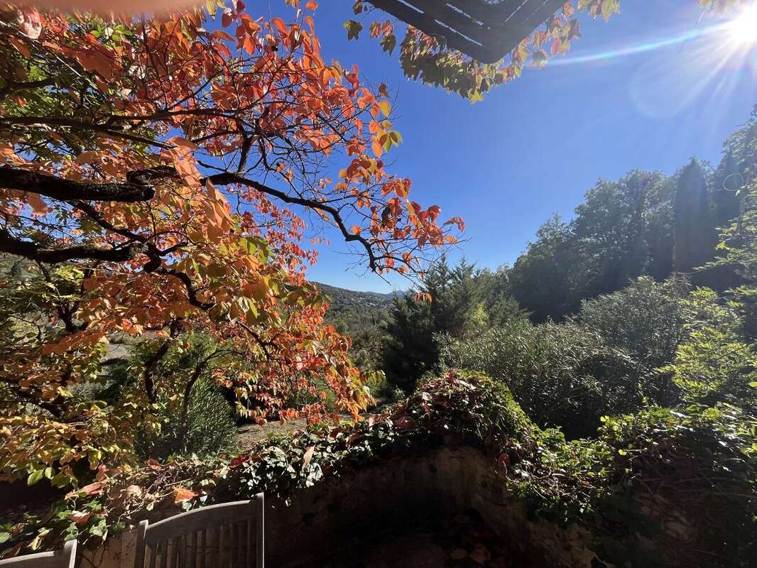 Maison à MONTAUROUX