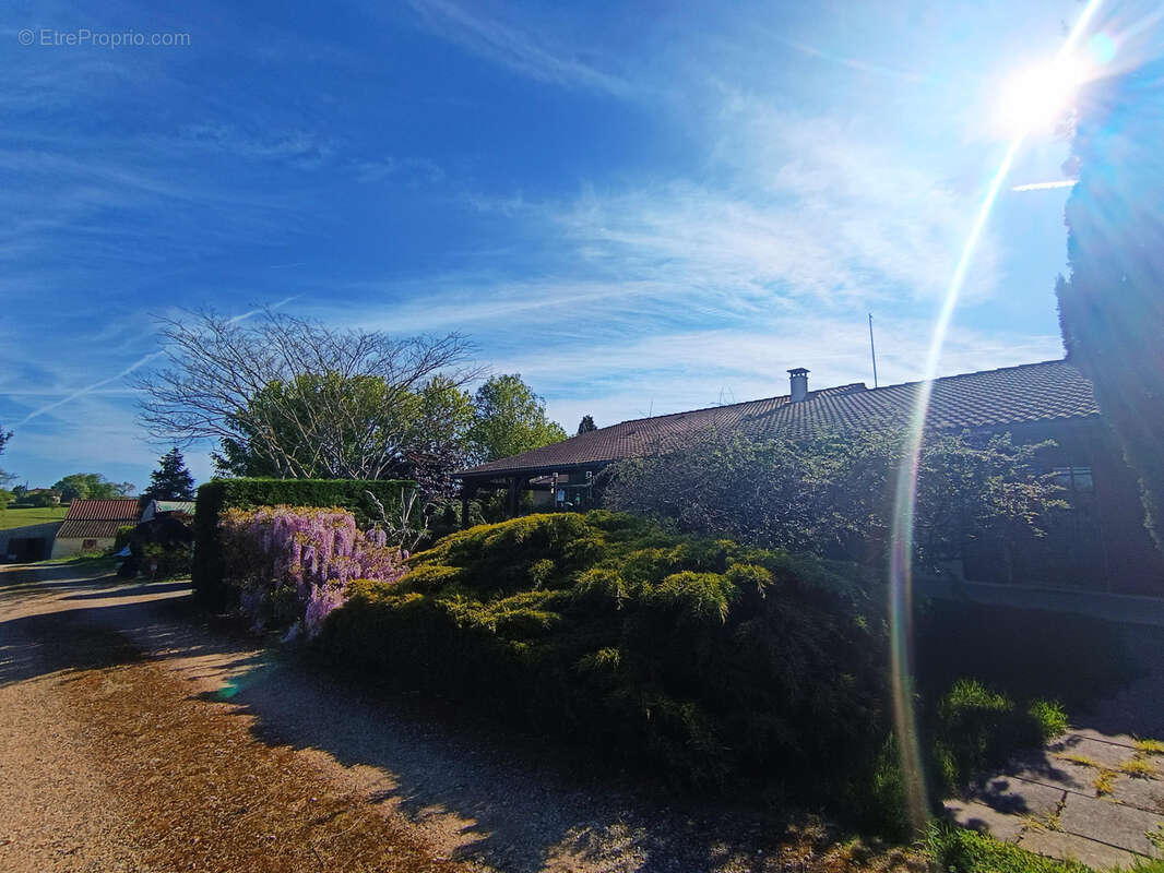 Maison à CONDEZAYGUES