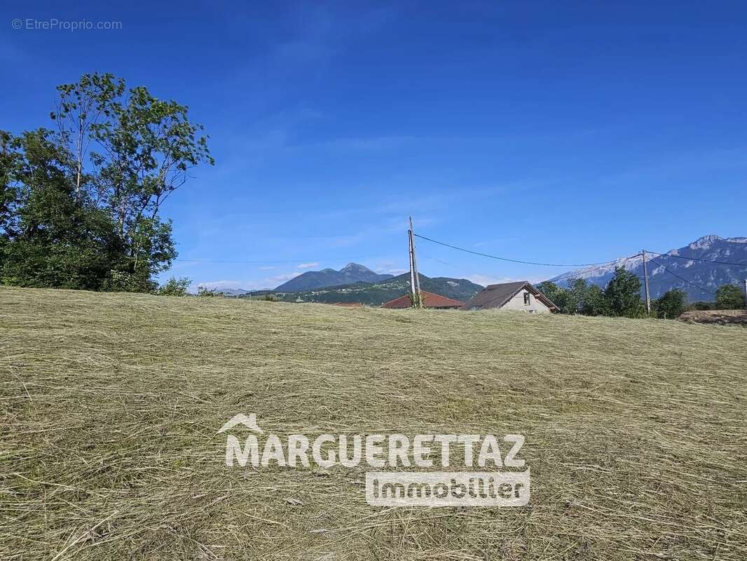 Terrain à SCIENTRIER