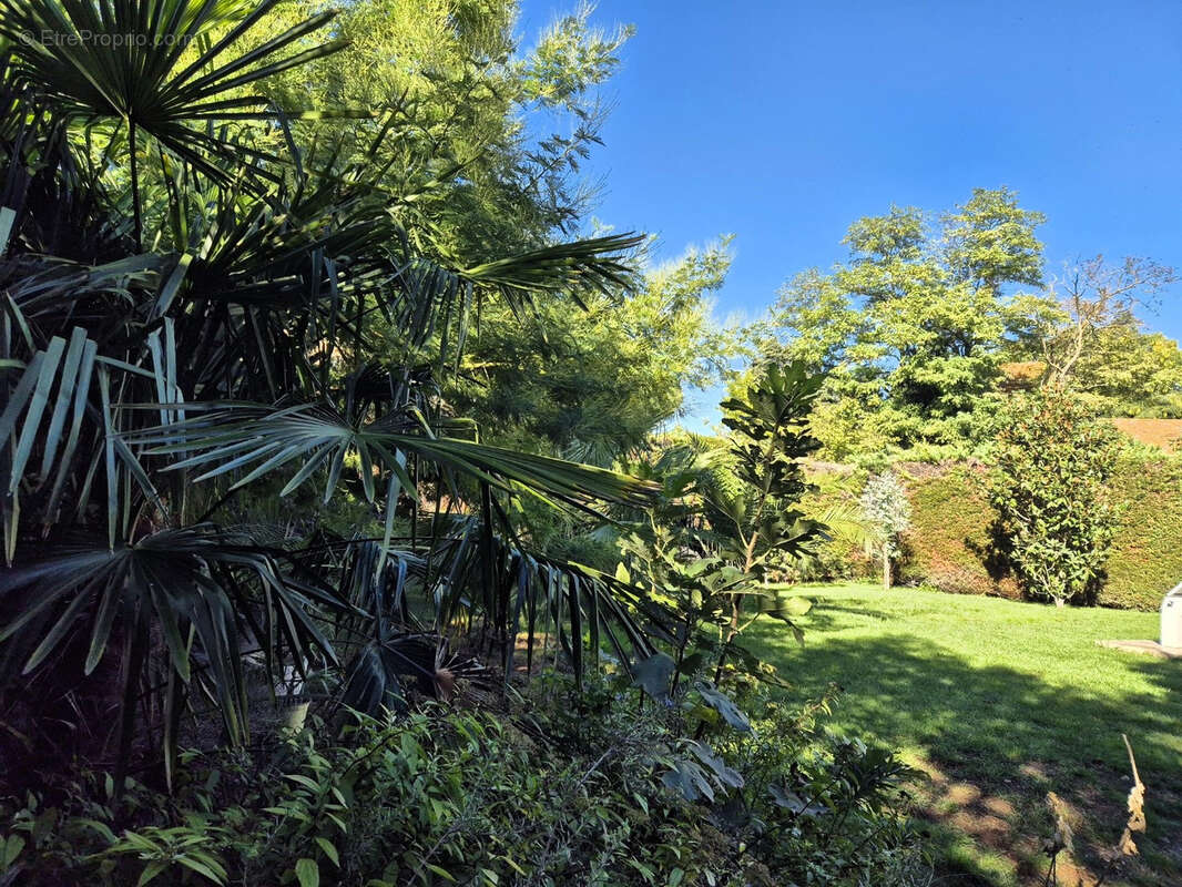 Maison à LEZIGNAN-LA-CEBE