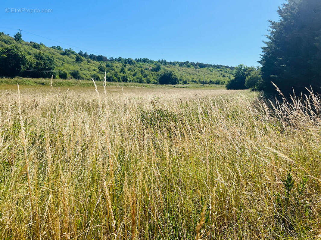 PROPRIETE sur 3,7 hectares - photo 14