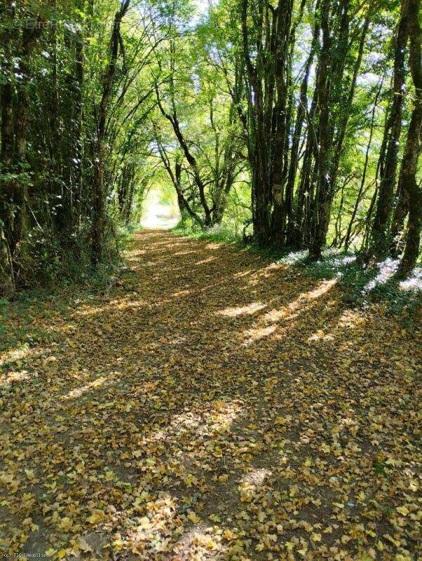 Maison à NANTEUIL-EN-VALLEE