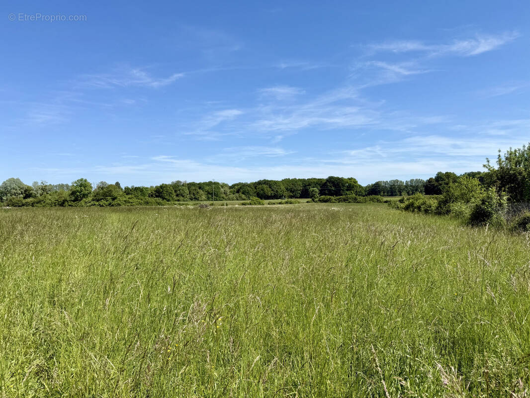 Terrain à SAINT-JEAN-DE-BONNEVAL