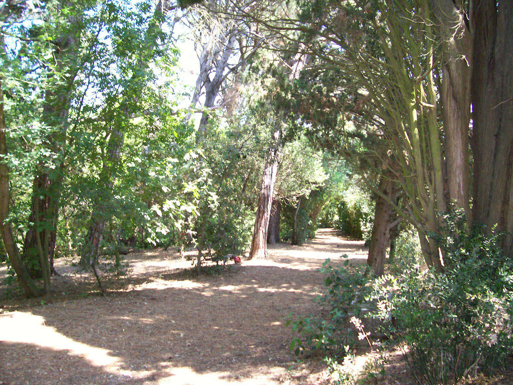 Maison à CARCASSONNE