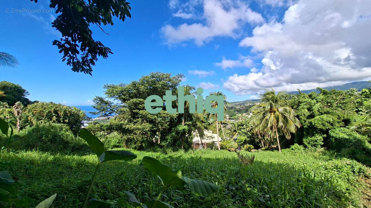 Terrain à GOURBEYRE