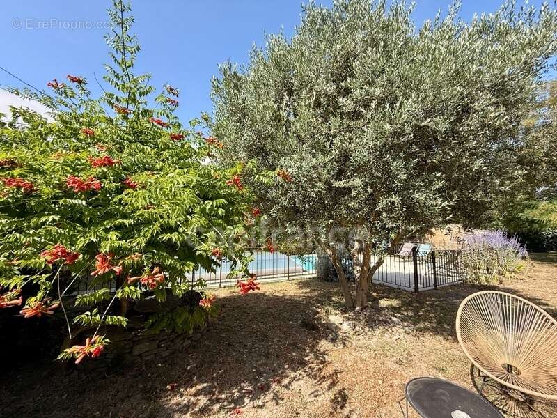 Maison de Maitre CARCASSONNE sur 233m2 habitables , 5 chambres, garage, piscine terrain 1100m2 - photo 48