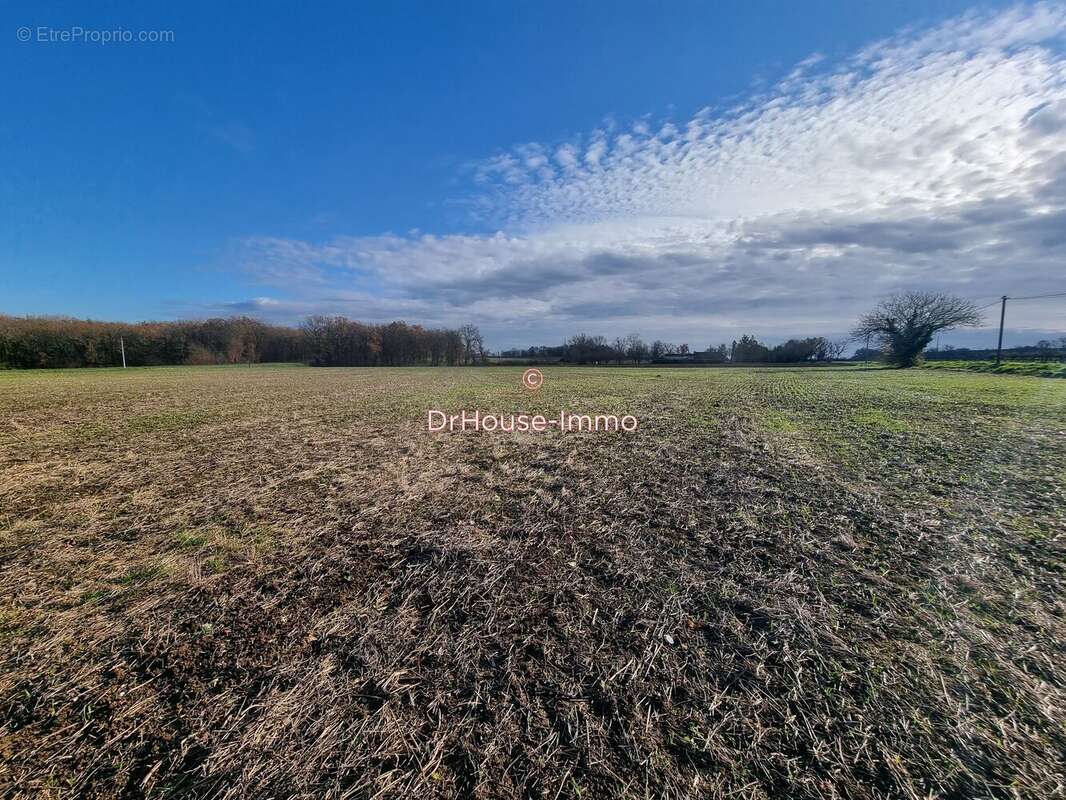 Terrain 1400 m² à Issigeac  - photo 15