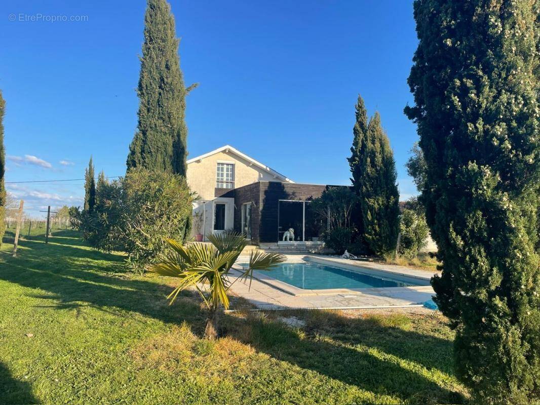 Maison à PUISSEGUIN