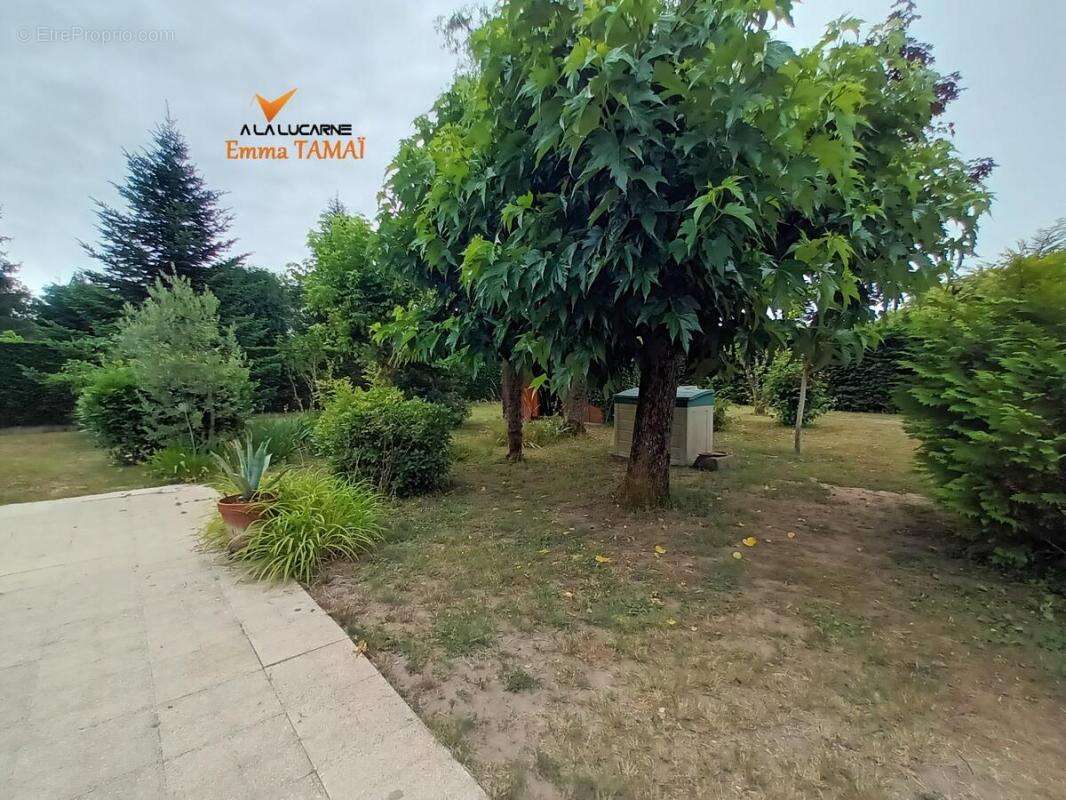 Maison à SAINT-AVIT-SAINT-NAZAIRE