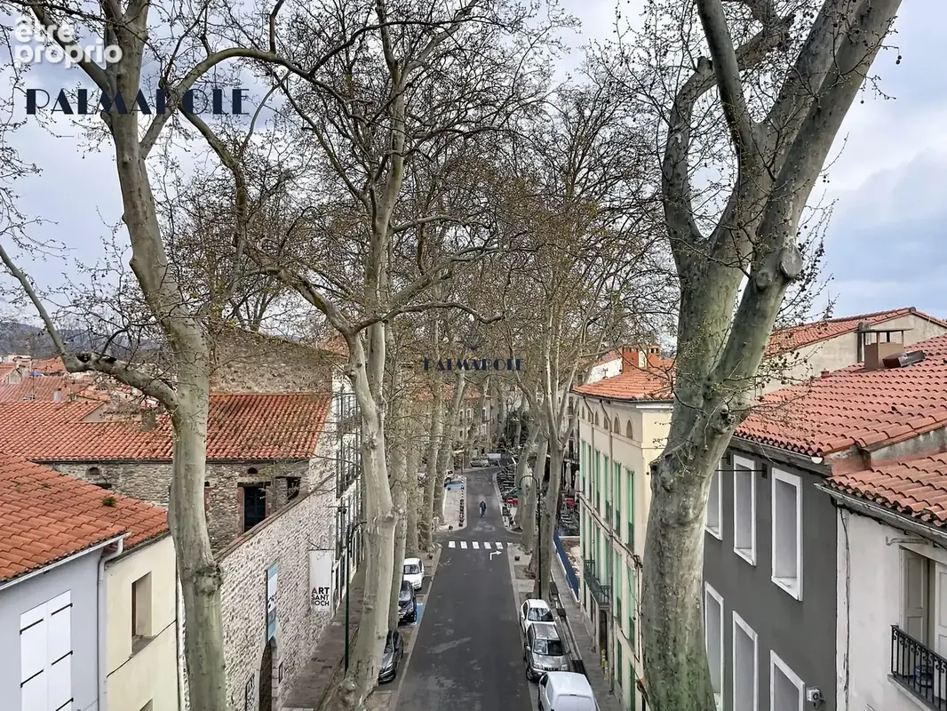 Appartement 3 pièces 80 m² à vendre à Ceret (66400) - photo 6
