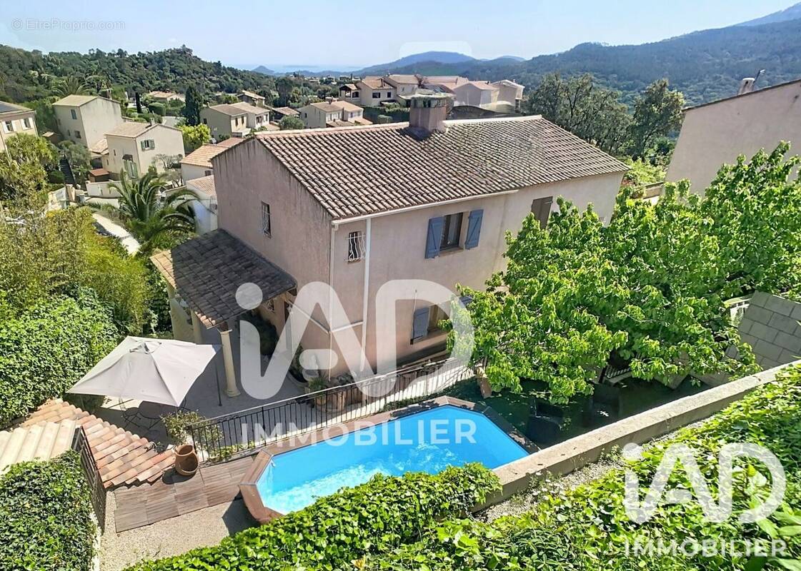 Photo 1 - Maison à MANDELIEU-LA-NAPOULE