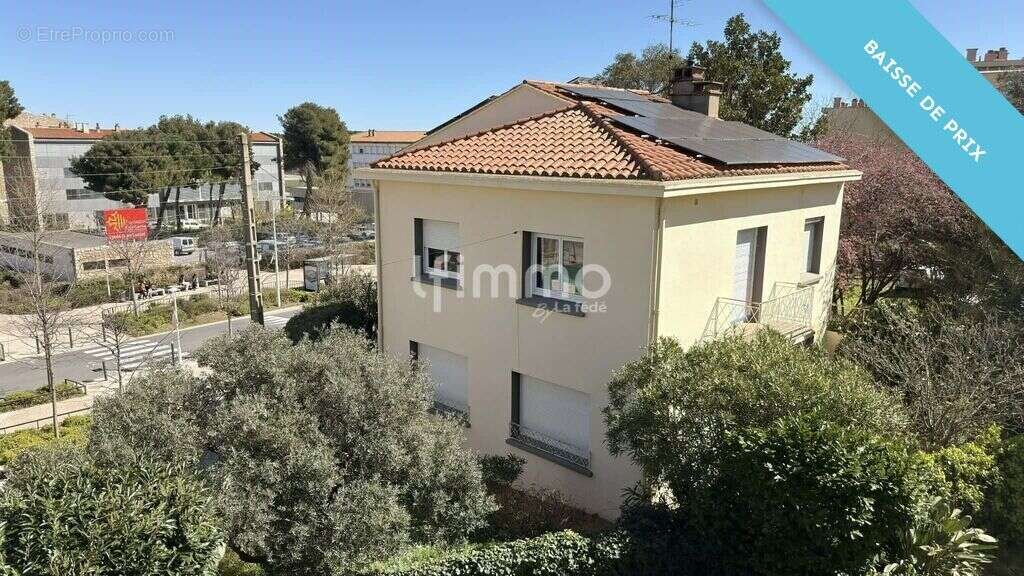 Maison 3 faces 168 m2 - 4 chambres - Perpignan Saint Gaudérique - photo 2