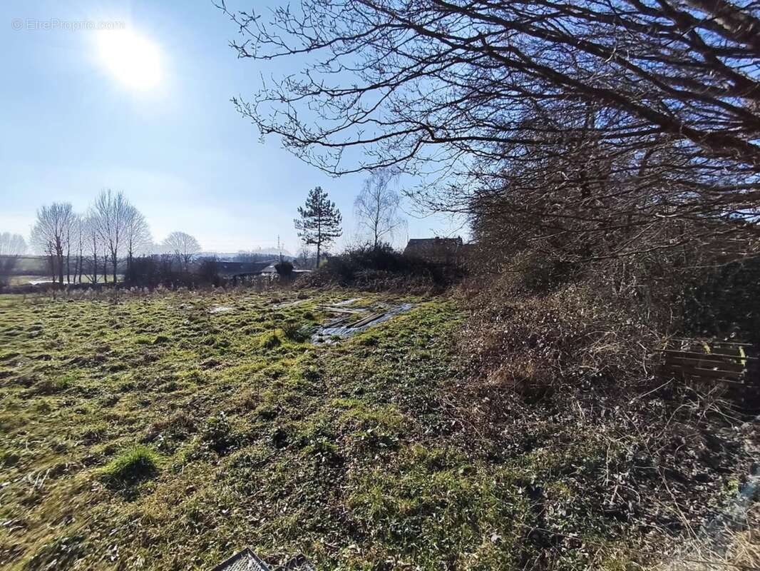 Photo 3 - Terrain à HARGNIES