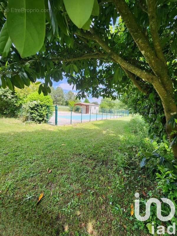 Photo 4 - Maison à SAINT-PALAIS