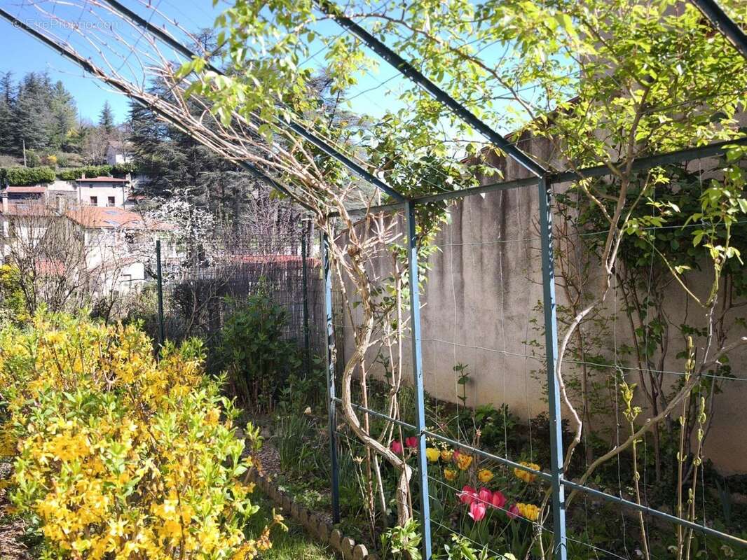 Photo 8 - Maison à SAINT-CHAMOND