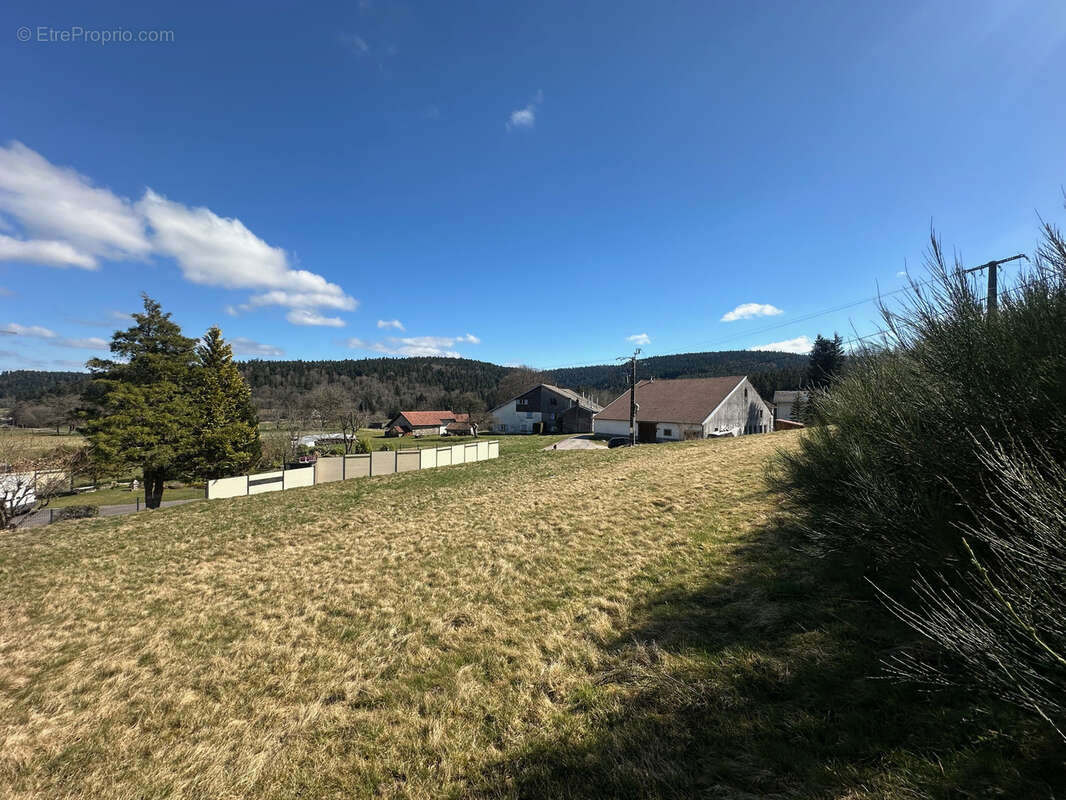 Terrain à REMIREMONT