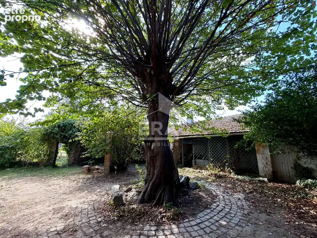 Maison 144m² à souppes-sur-loing - photo 6
